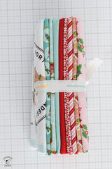 Claus & Co Fabric Bundle; Pink; 1 yard each of 8 prints and 1 panel