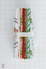 Claus & Co Fabric Bundle; Blue; 1 yard each of 8 prints and Panel